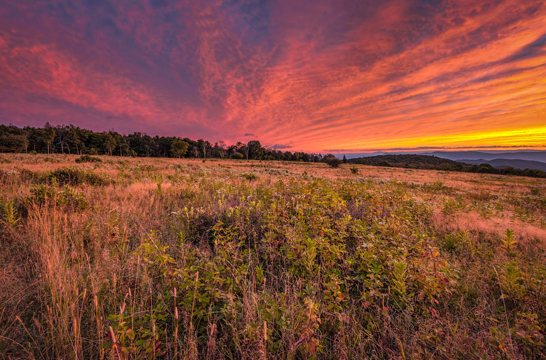 Sunset over Big Meadows at the Shenandoah National Park, Virginia
